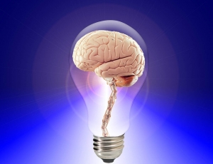 inteligencia exitosa