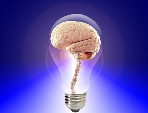Claves de una inteligencia exitosa