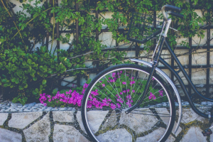 pexels-photo-92235-large